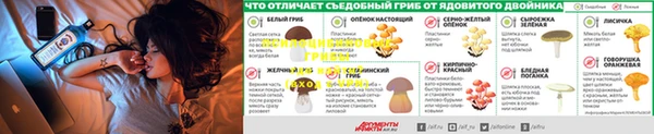2c-b Няндома