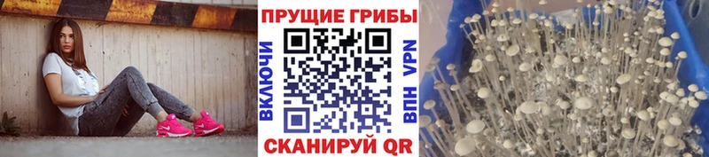KRAKEN рабочий сайт  купить   Биробиджан  Галлюциногенные грибы прущие грибы 